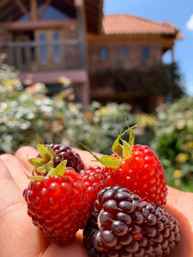 Estancia El Sol Sogamoso Ngoại thất bức ảnh